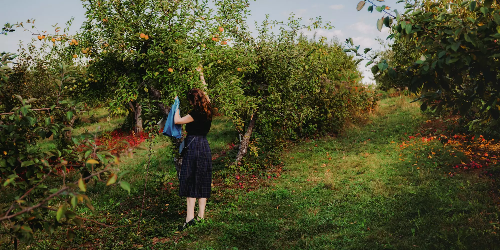 Justin Kaneps for Lonely Planet