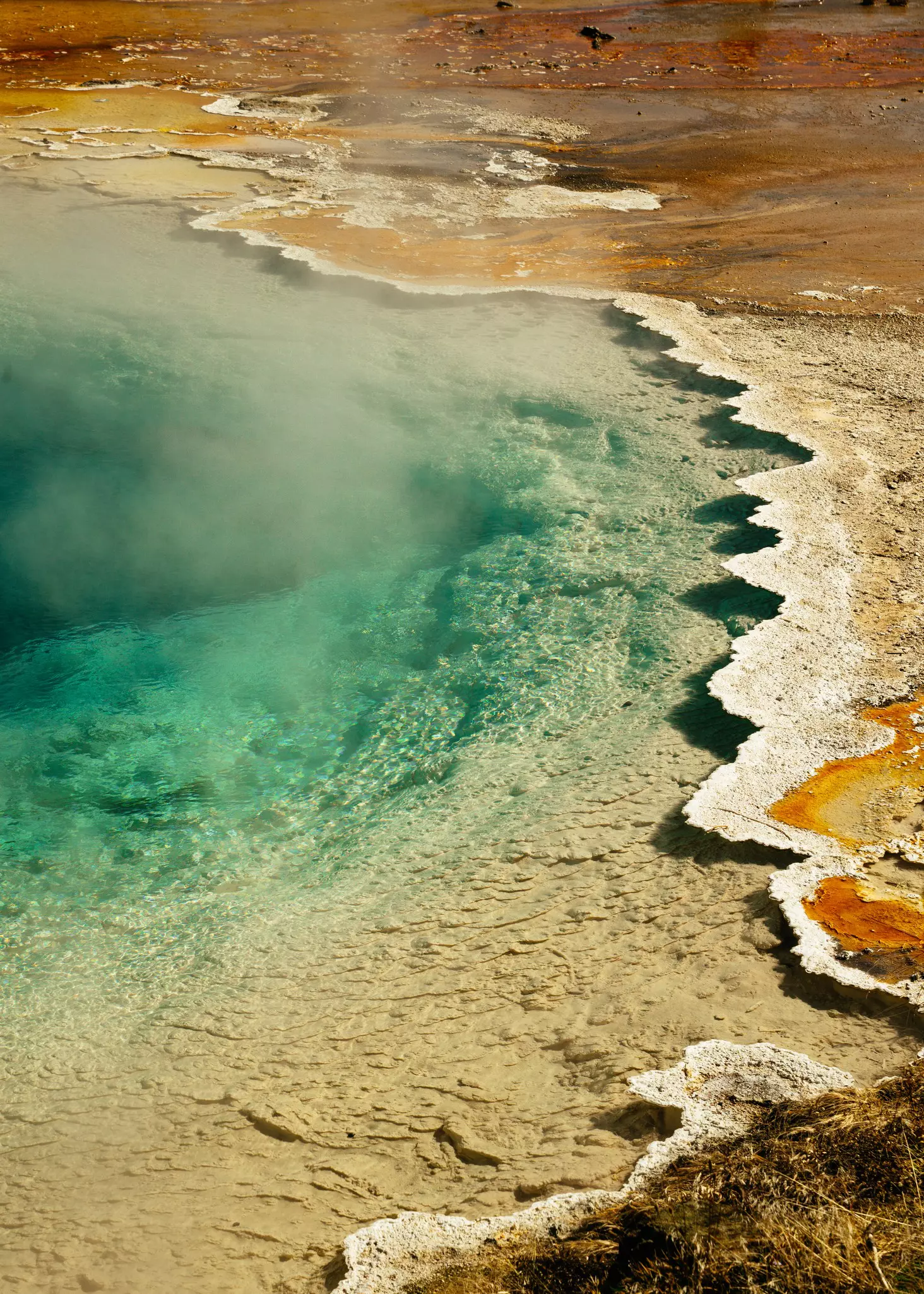 Silex Spring, a hot spring in the Lower Geyser Basin. Yellowstone National Park, Wyoming. September 2025.