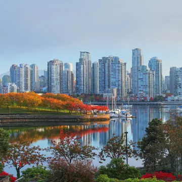 Here are the best things to do in Vancouver. Dan Breckwoldt/Shutterstock