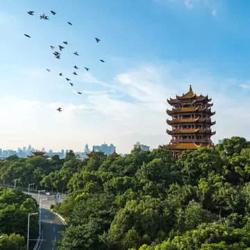 A five-tiered pagoda with golden roofs above a wooded hill, a road below and high-rise towers on the horizon under blue sky.