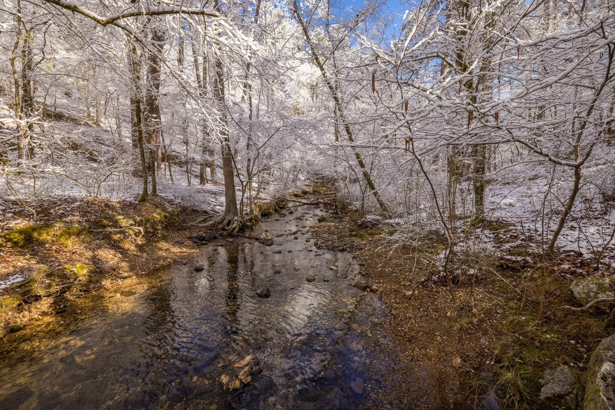 A thermal stream backed by frosty, leafless trees.