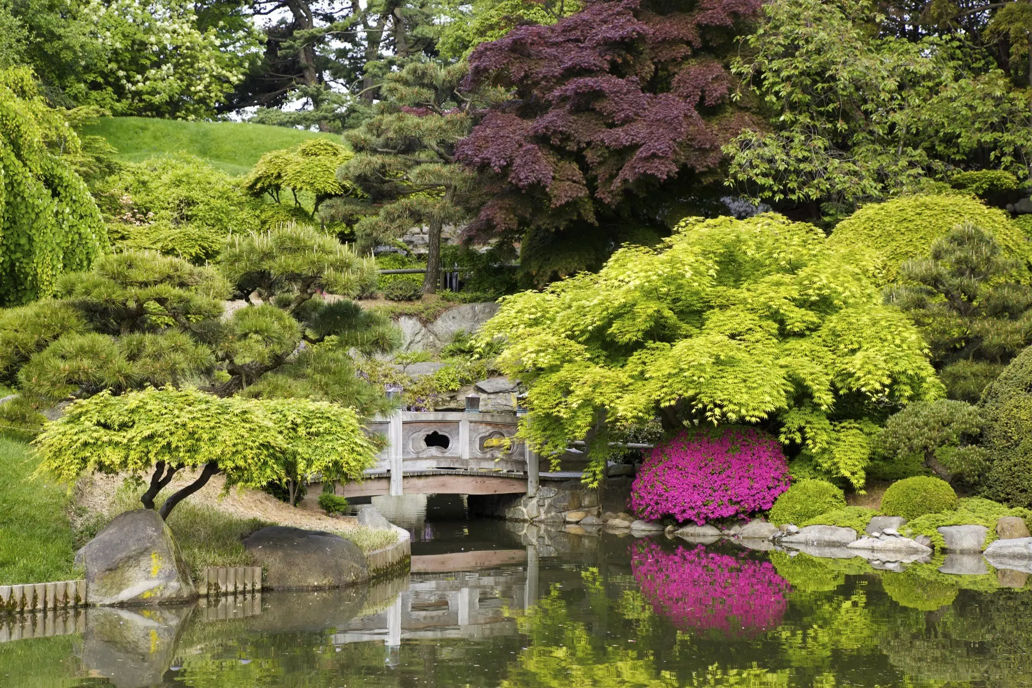The Japanese garden at Brooklyn's Botanical Garden.