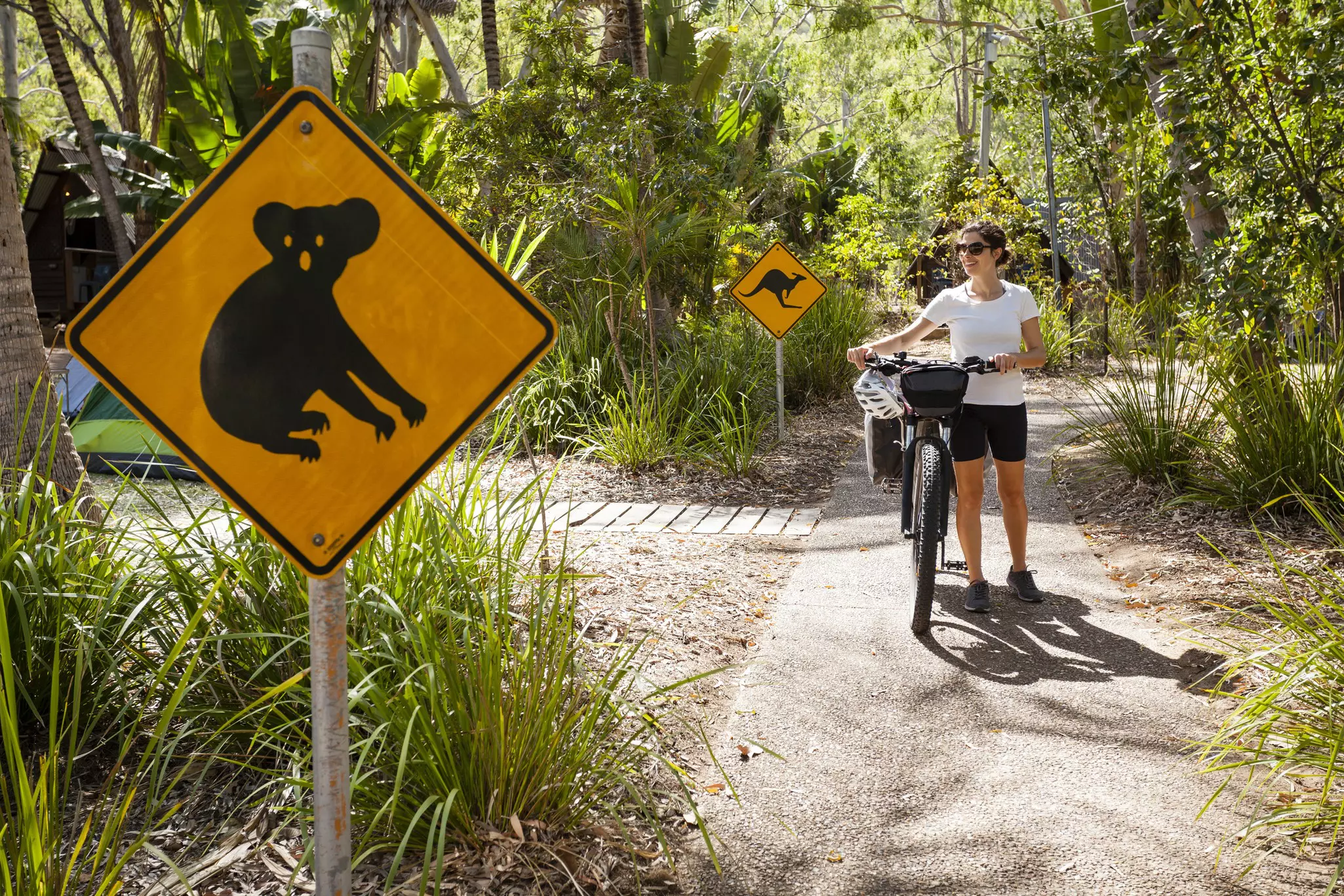 Woman pushing an ebike along a path with two wildlife signs indicating that kangaroos and koalas are in the area