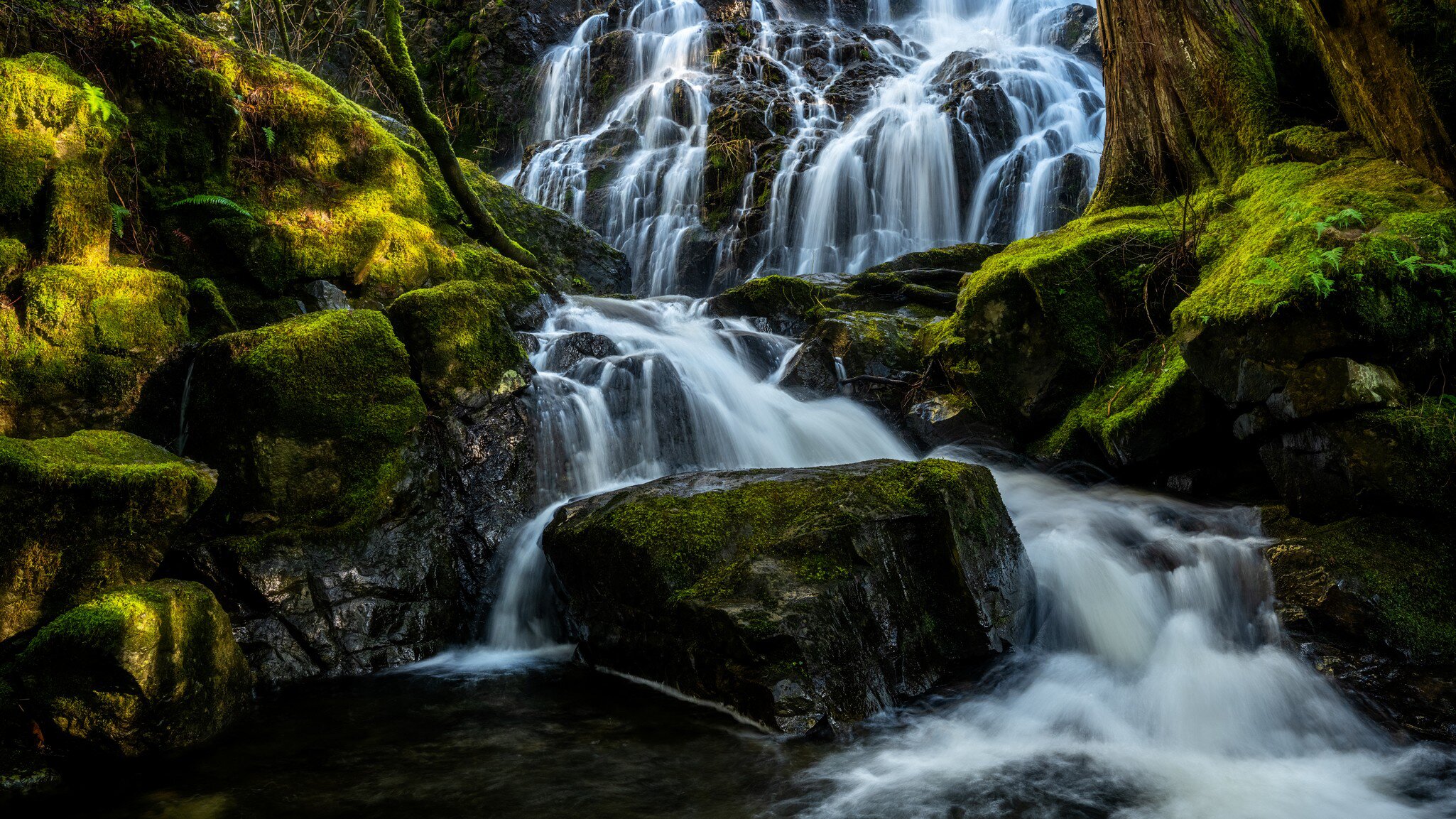 Mary Vine Falls at Sooke Potholes Provincial Park in Canada  License Type: media  Download Time: 2023-12-12T16:48:17.000Z  User: nic.dhoedt_lonelyplanet  Is Editorial: No  purchase_order: