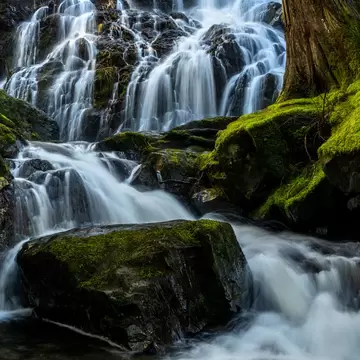 Mary Vine Falls at Sooke Potholes Provincial Park in Canada  License Type: media  Download Time: 2023-12-12T16:48:17.000Z  User: nic.dhoedt_lonelyplanet  Is Editorial: No  purchase_order: