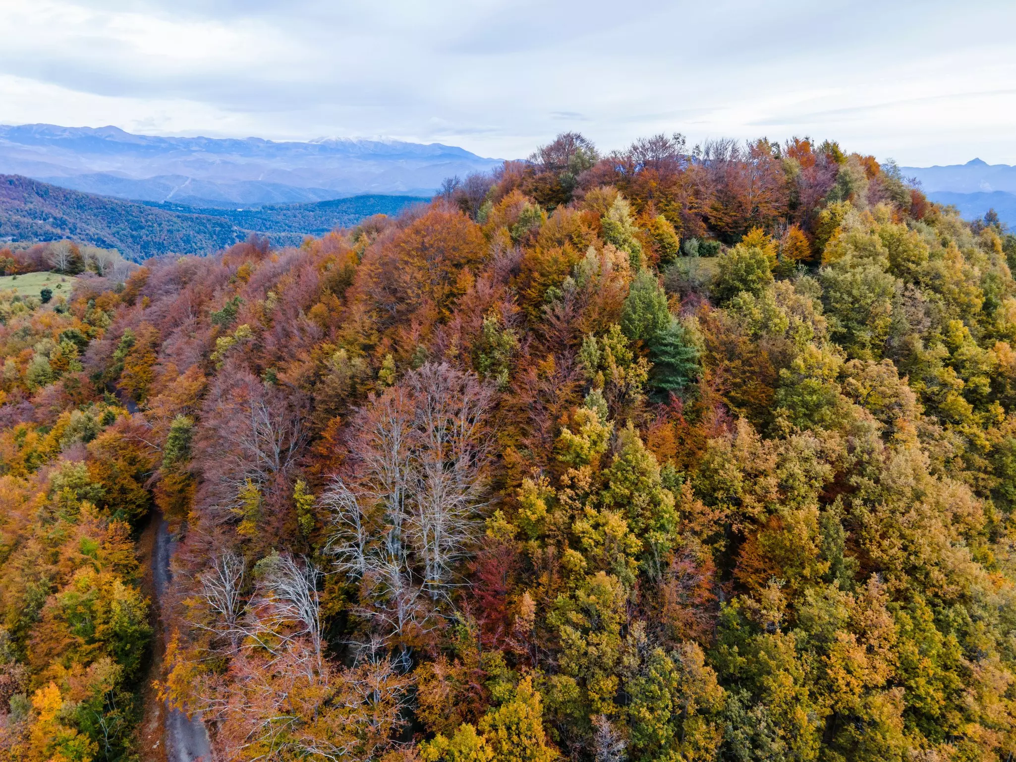 Autumn landscape in Puigsacalm Peak, La Garrotxa, Spain
