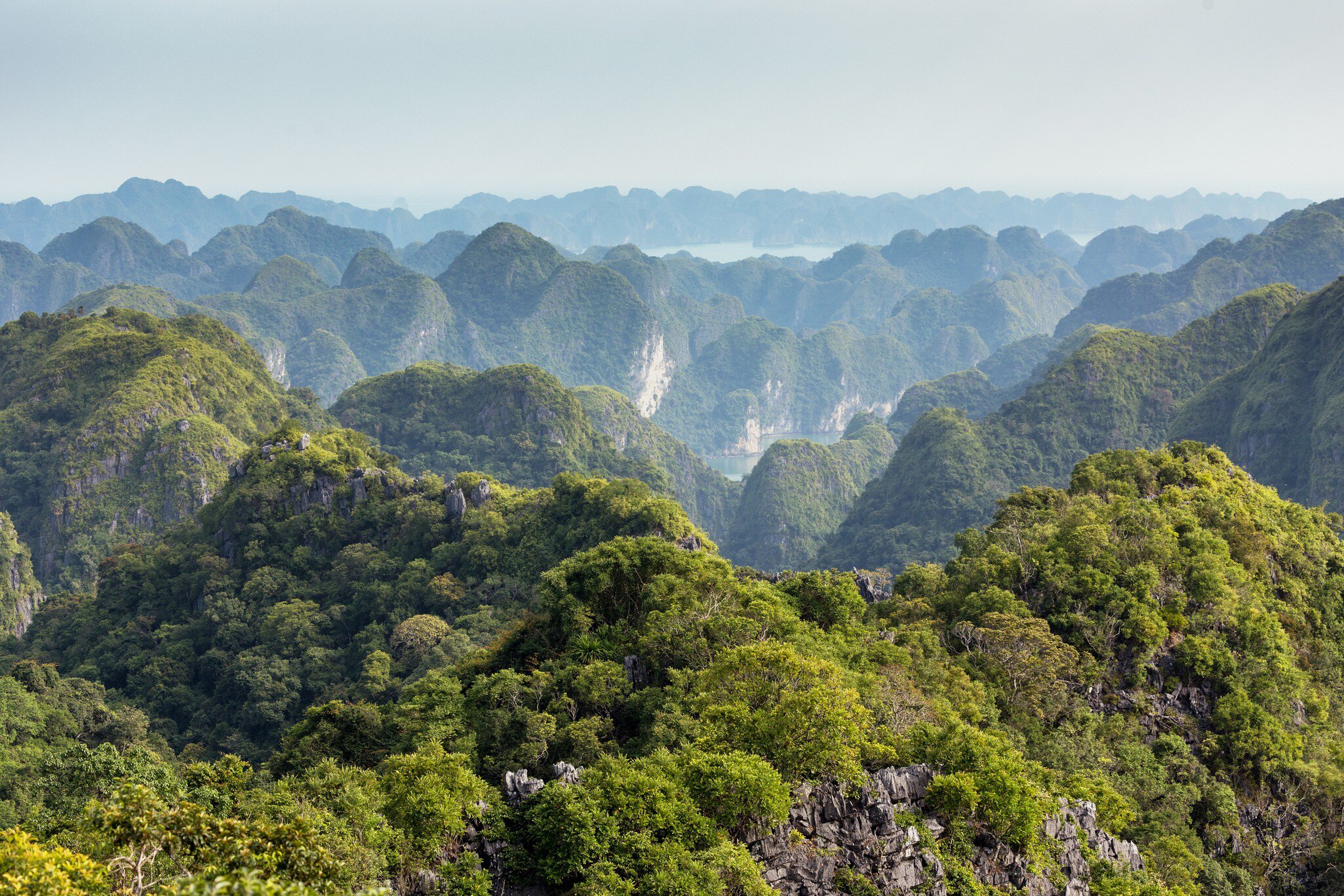 View of the Lan Ha marine bay landscape in Vietnam, as seen from Cat Ba island.