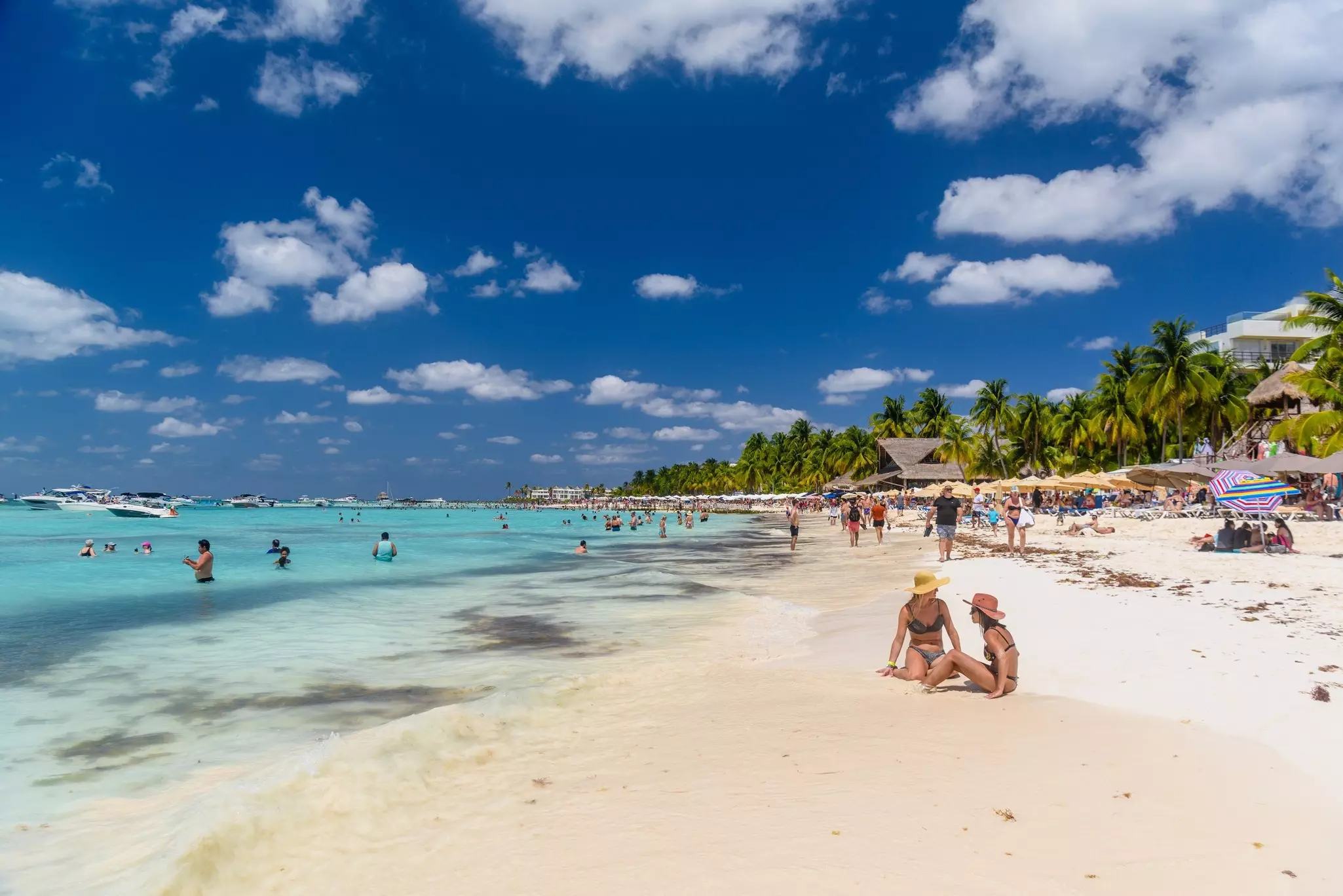 Two women sit on a beach in a tropical location, with palm trees on the shore and bright-blue waters in the sea. Other people walk on the beach and swim in the water.