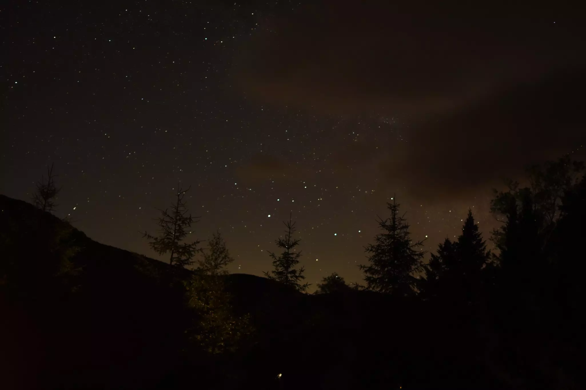 The dark shadows of a mountain and several trees amid a nearly clear night sky