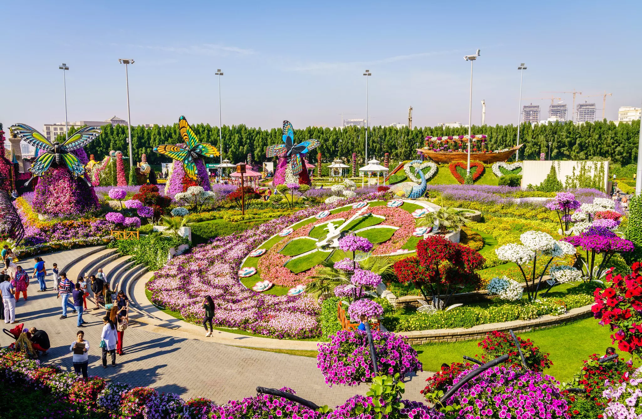 Miracle Garden is one of the main tourist attractions in Dubai, UAE