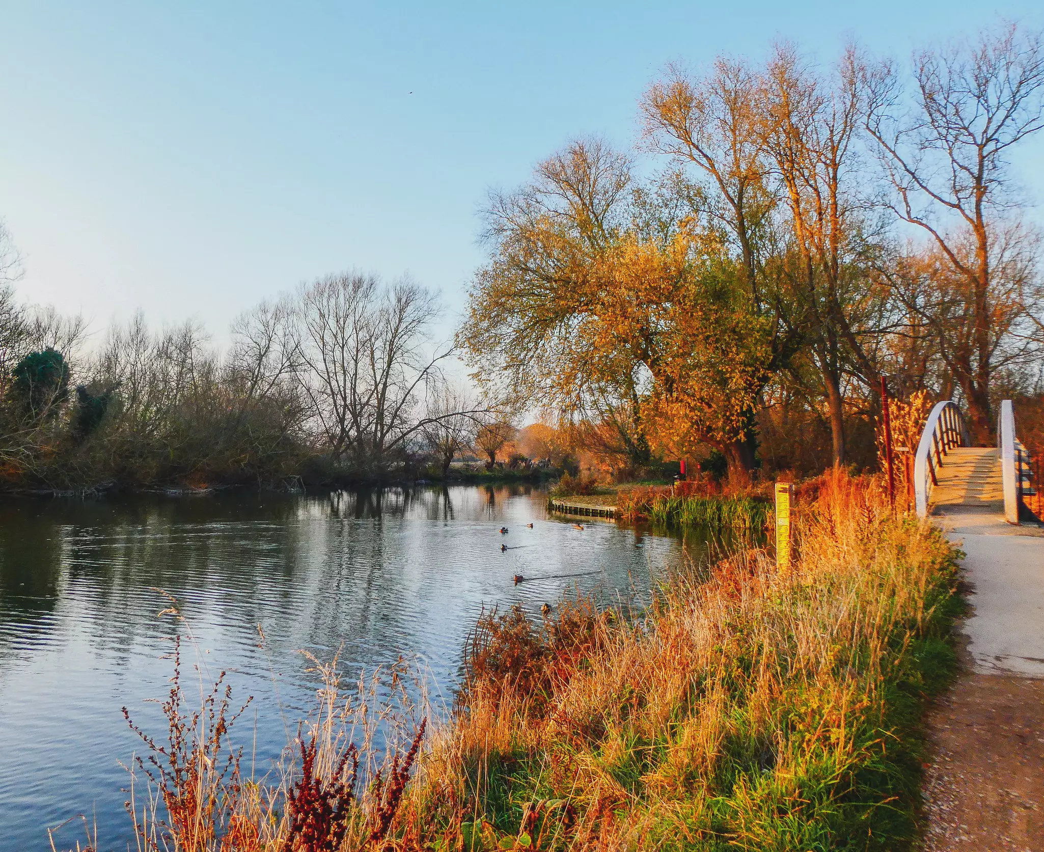 Port Meadow in Oxford, England