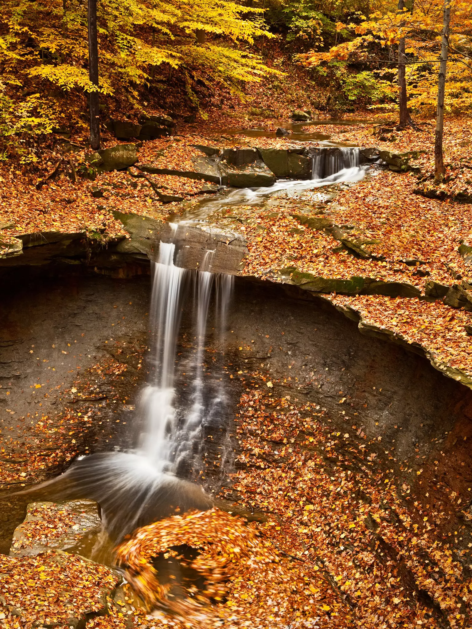 Blue Hen Falls, Cuyahoga National Park, Ohio
Tranquil Scene Nature Vacations Travel Destinations Vertical Outdoors Long Exposure USA Smooth Leaf Flowing Water Autumn Cliff Waterfall National Park Idyllic Midwest USA Ohio Cuyahoga Valley Photograph Color Image Cuyahoga National Recreation Area Beauty In Nature Photography Non-Urban Scene Blue Hen Falls Cuyahoga National Park