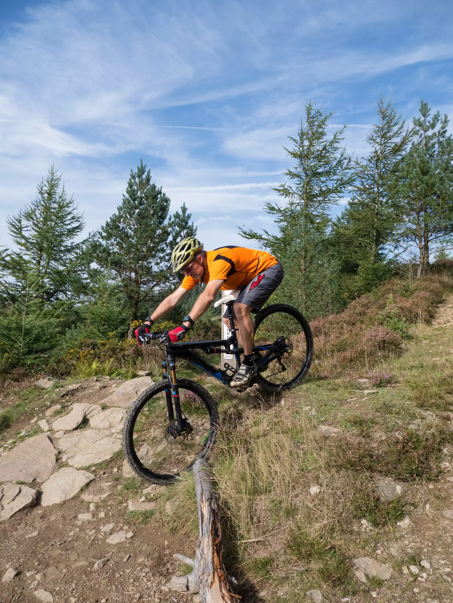Mountain biker riding  a trail in a mountain bike park in South Wales