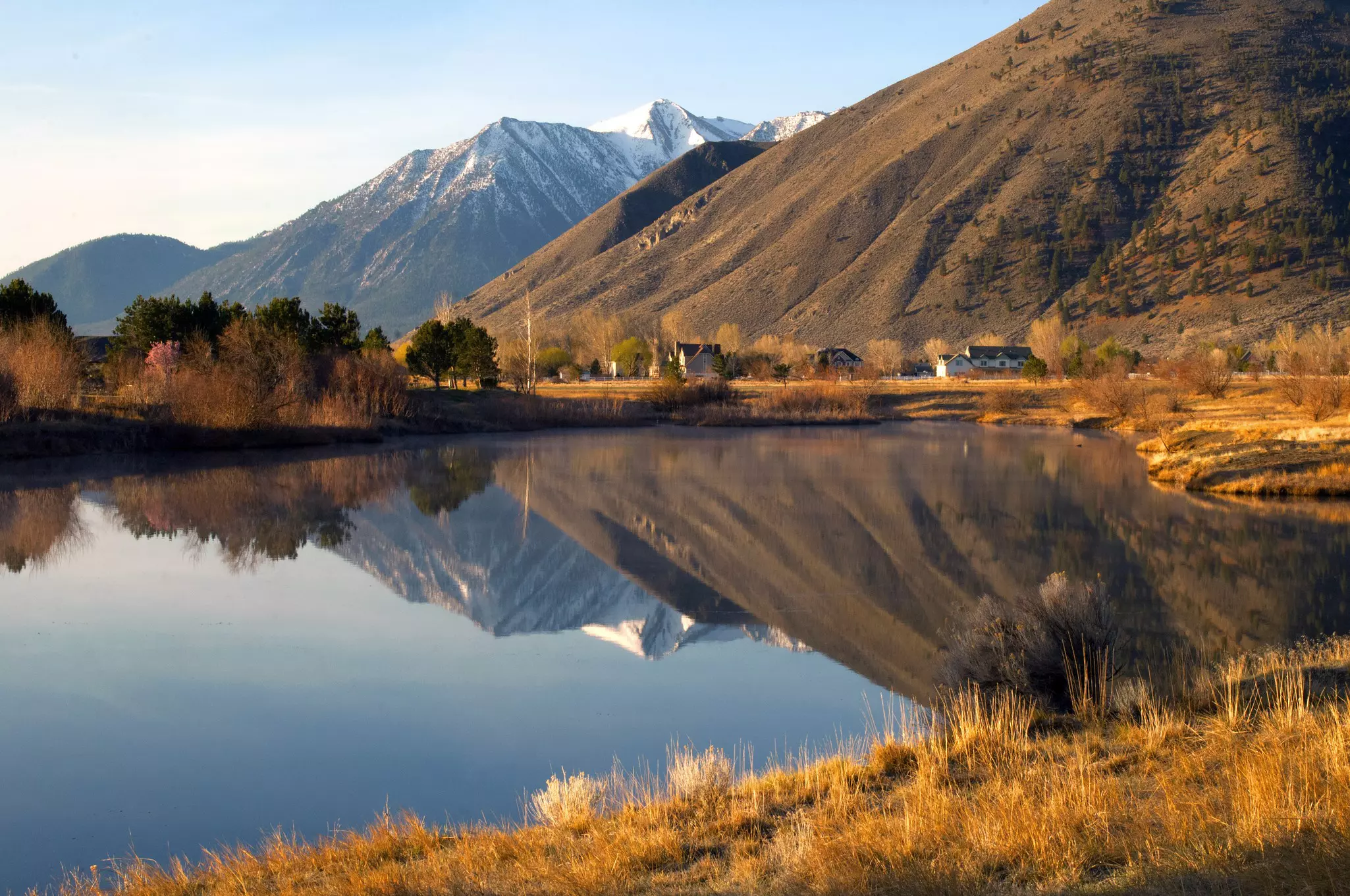 Job's Peak reflected in a pond near Genoa, Nevada