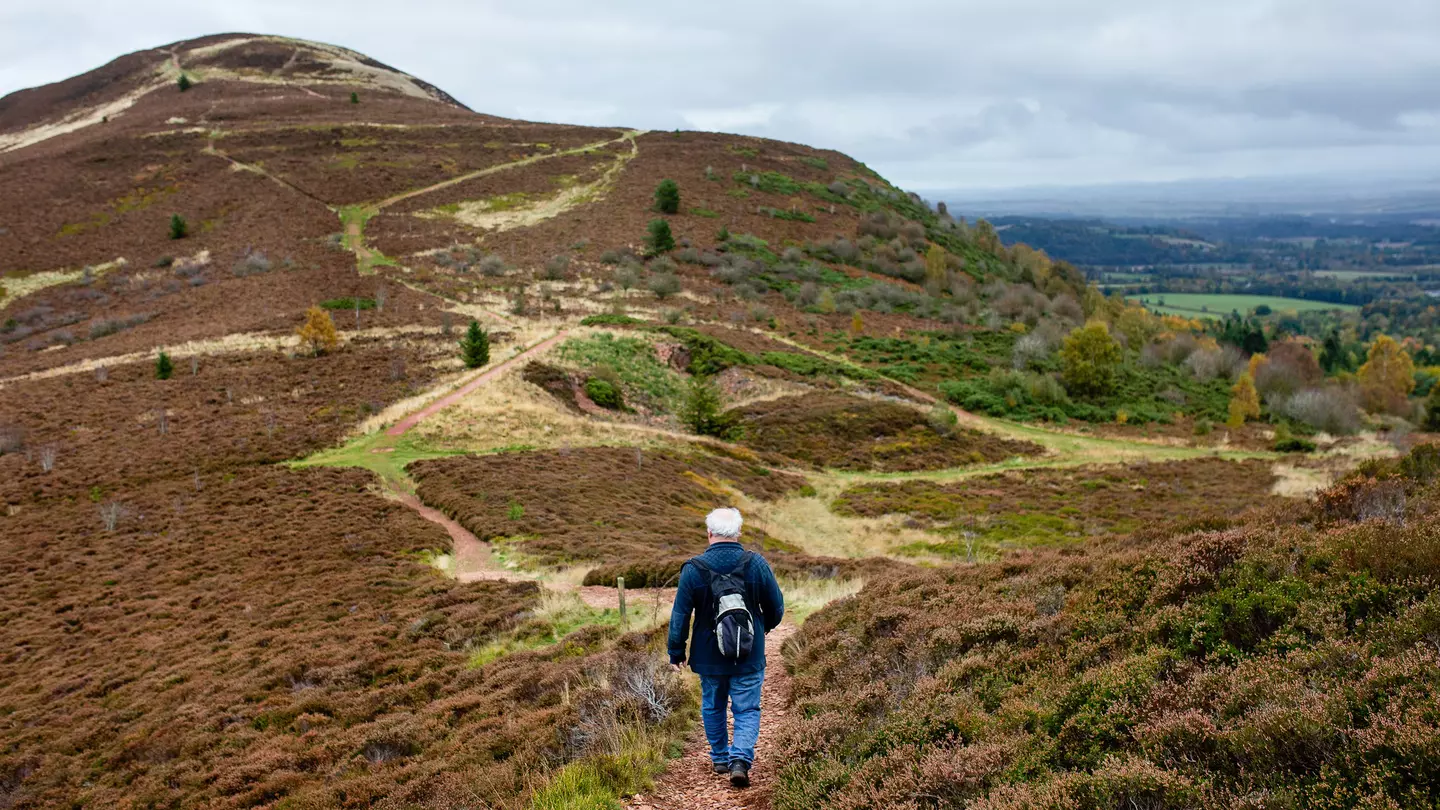A bloco street party in full swing. Image by Teresa Geer / Lonely Planet