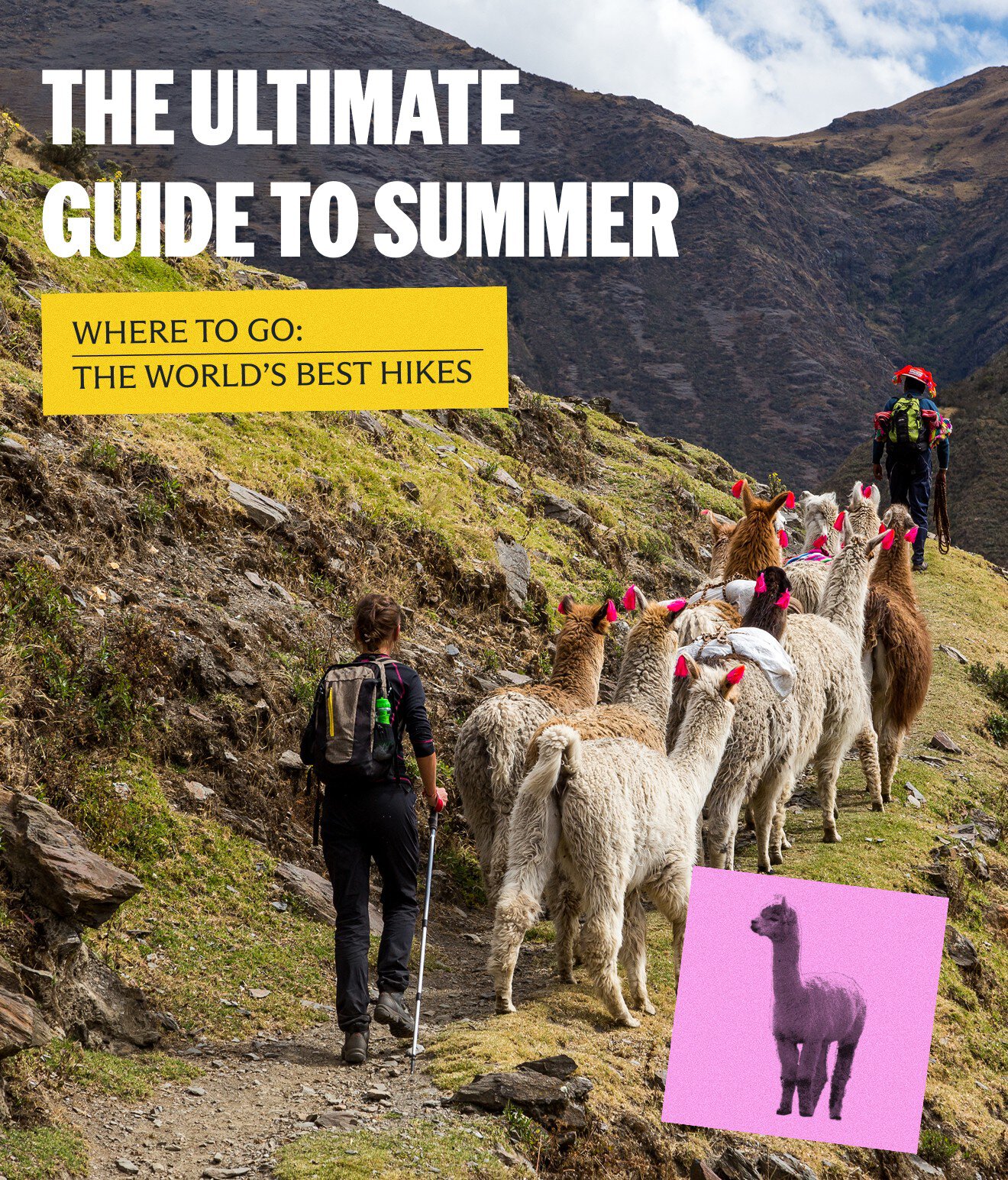 The Ultimate Guide to Summer