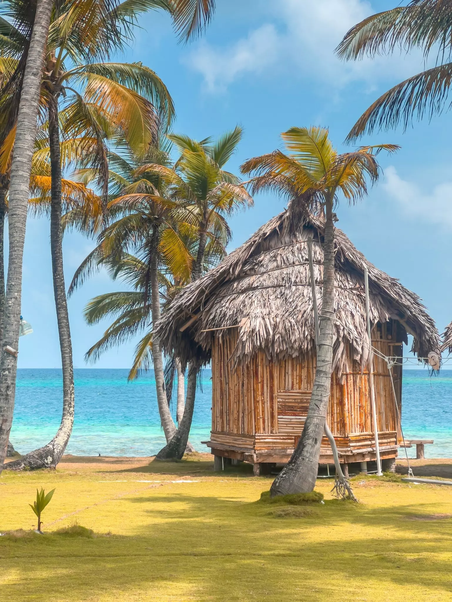 A woven round structure with a thatched room is under palm trees by turquoise blue water.