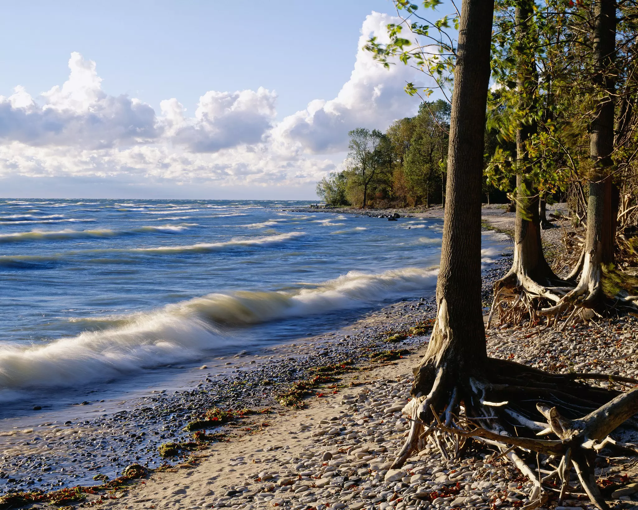  Lake Erie, Ohio more than 300 species pass through each May in migration season © Getty Images/Science Faction