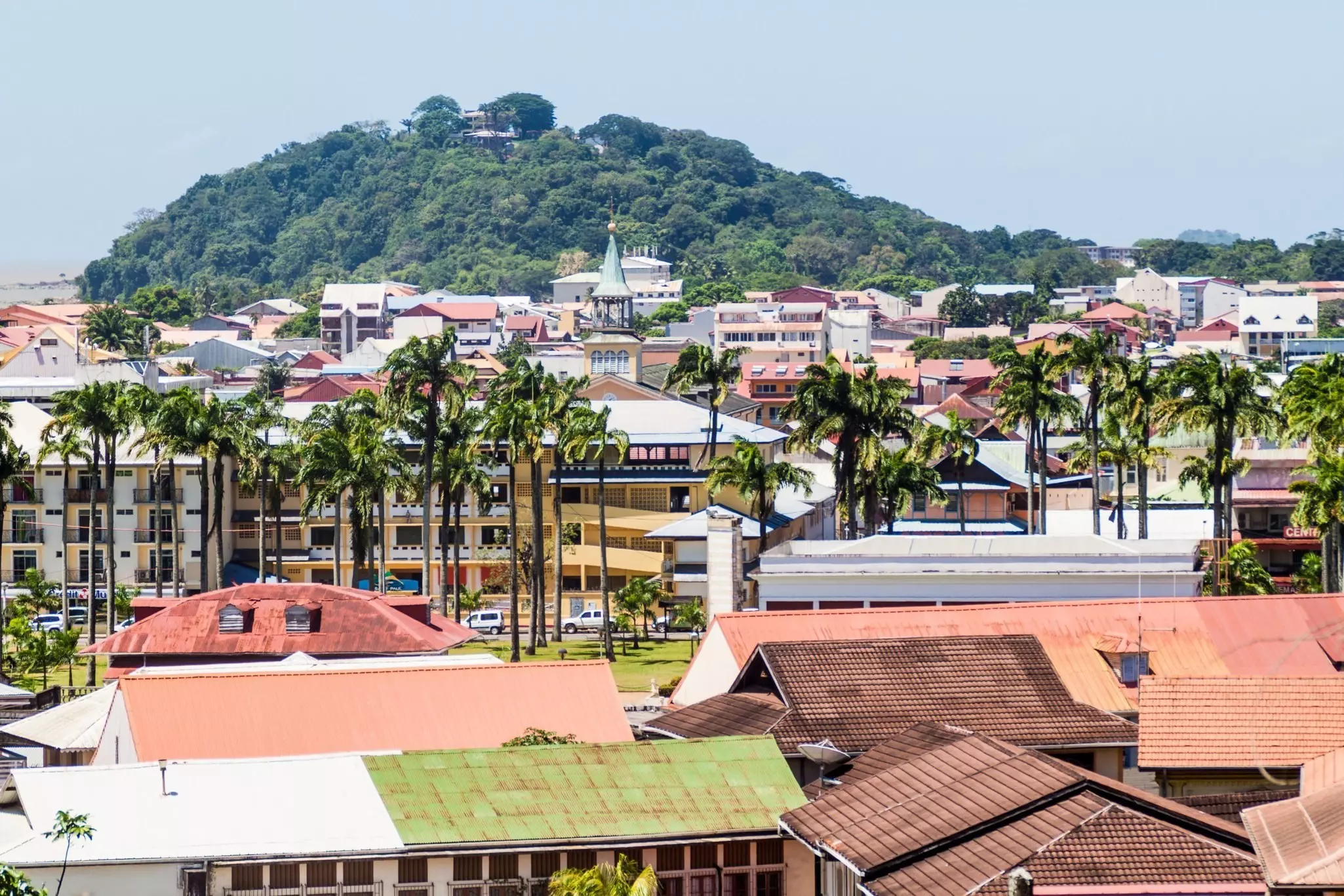 Terracotta rooftops and palm trees in a low-rise city.