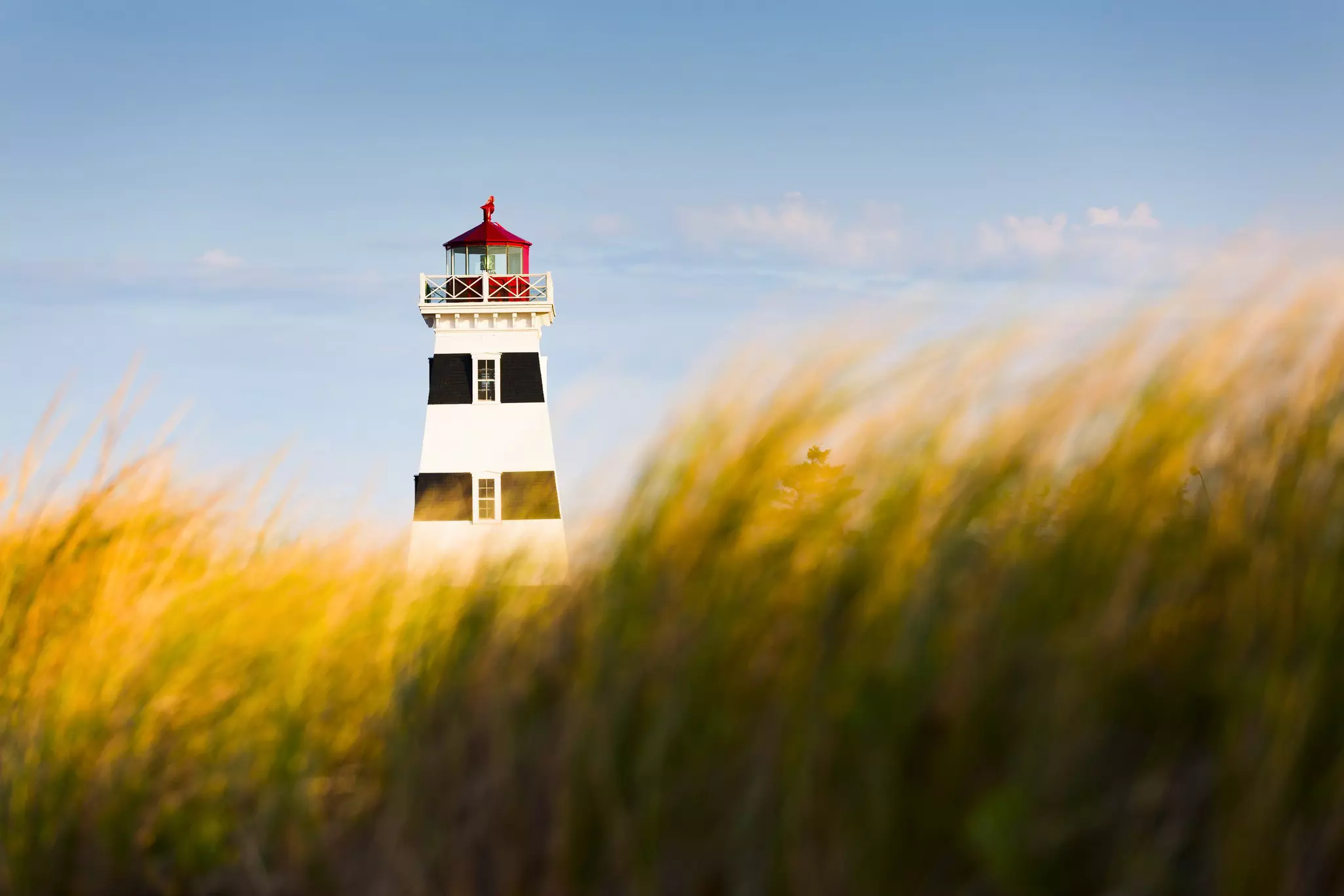 A black-and-white-striped lighthouse with red top on a sunny day with out-of-focus beach grass in the foreground.