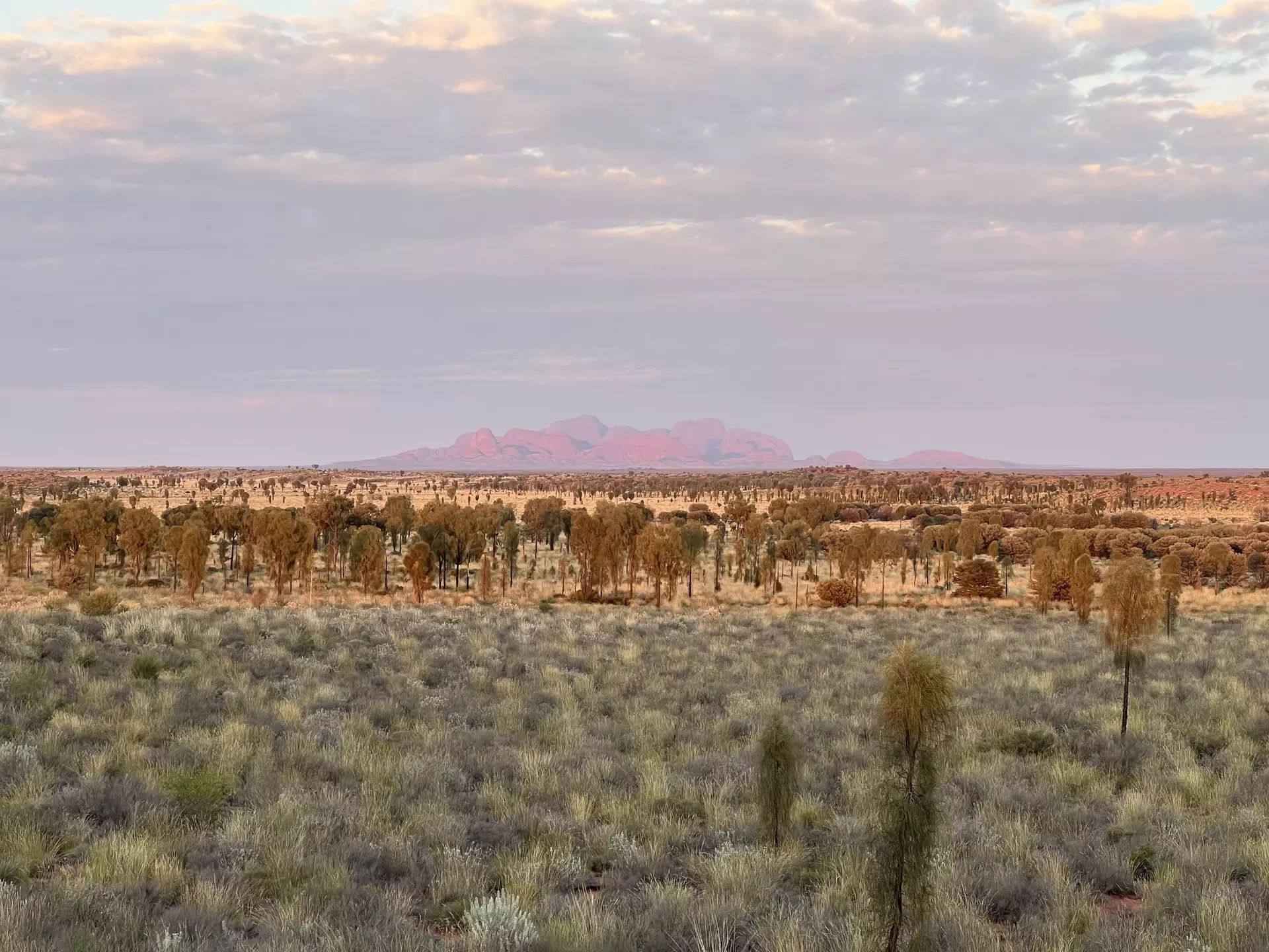 From surf beaches to nude beaches and everything in between, here are the top things to do in Australia. Jessica Lockhart for Lonely Planet