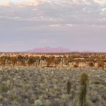 From surf beaches to nude beaches and everything in between, here are the top things to do in Australia. Jessica Lockhart for Lonely Planet