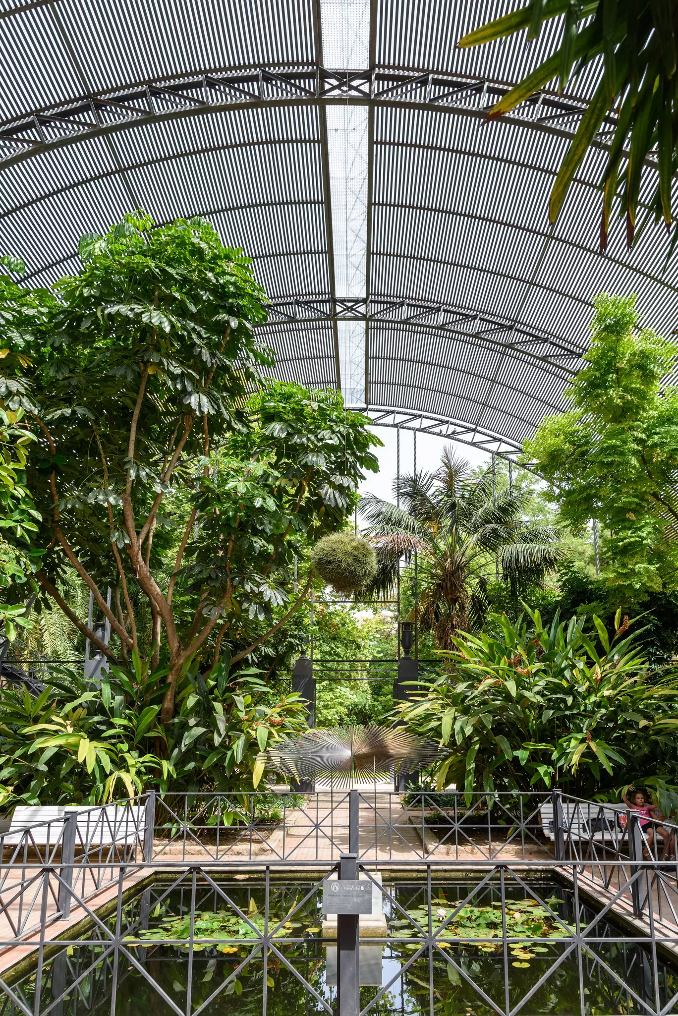 The Botanical Garden of University of Valencia (Jardin Botanico de la Universidad de Valencia). 