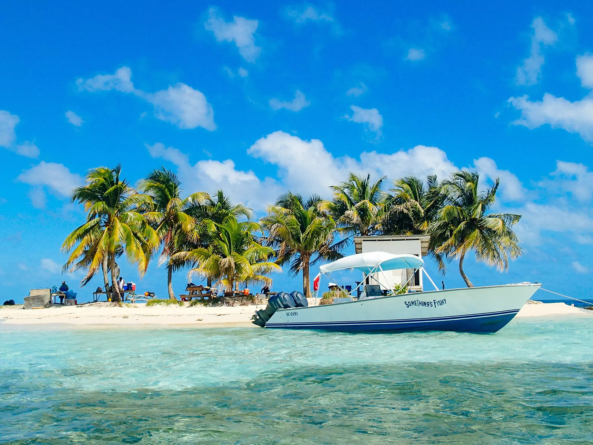 Gladden Spit & Silk Cayes Marine Reserve, with a boat in the water and trees on the beach.