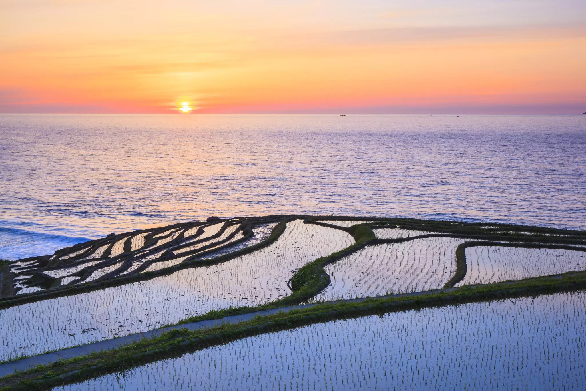 Rice terraces in a coastal sunset