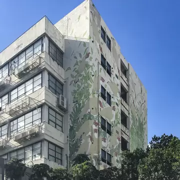 Large green botanical mural covering the corner of a converted factory building at OCT-LOFT, Shenzhen.