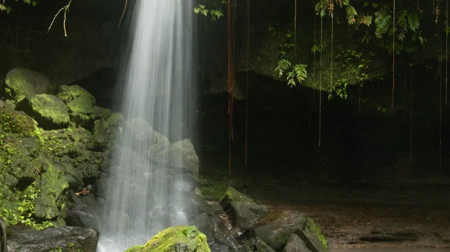Emerald Pool's 20-foot waterfall makes it a perfect place to enjoy a refreshing dip in the cool waters Alicia Johnson/Lonely Planet