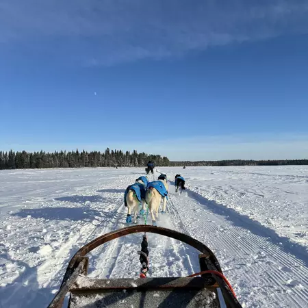 Deepa Lakshmin's trip to the Arctic Circle