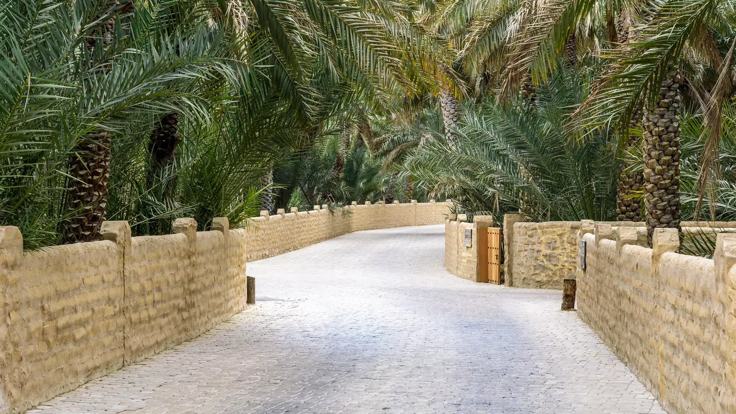 657153014
qasr
Pathway through the palm trees of the Al Ain Oasis in the United Arab Emirates