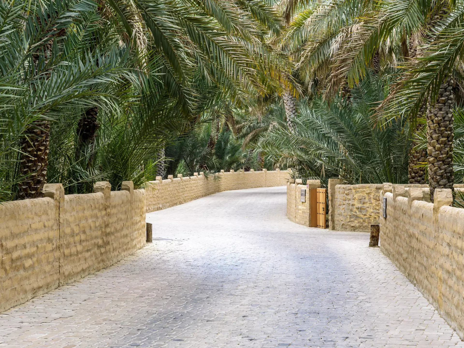 657153014
qasr
Pathway through the palm trees of the Al Ain Oasis in the United Arab Emirates