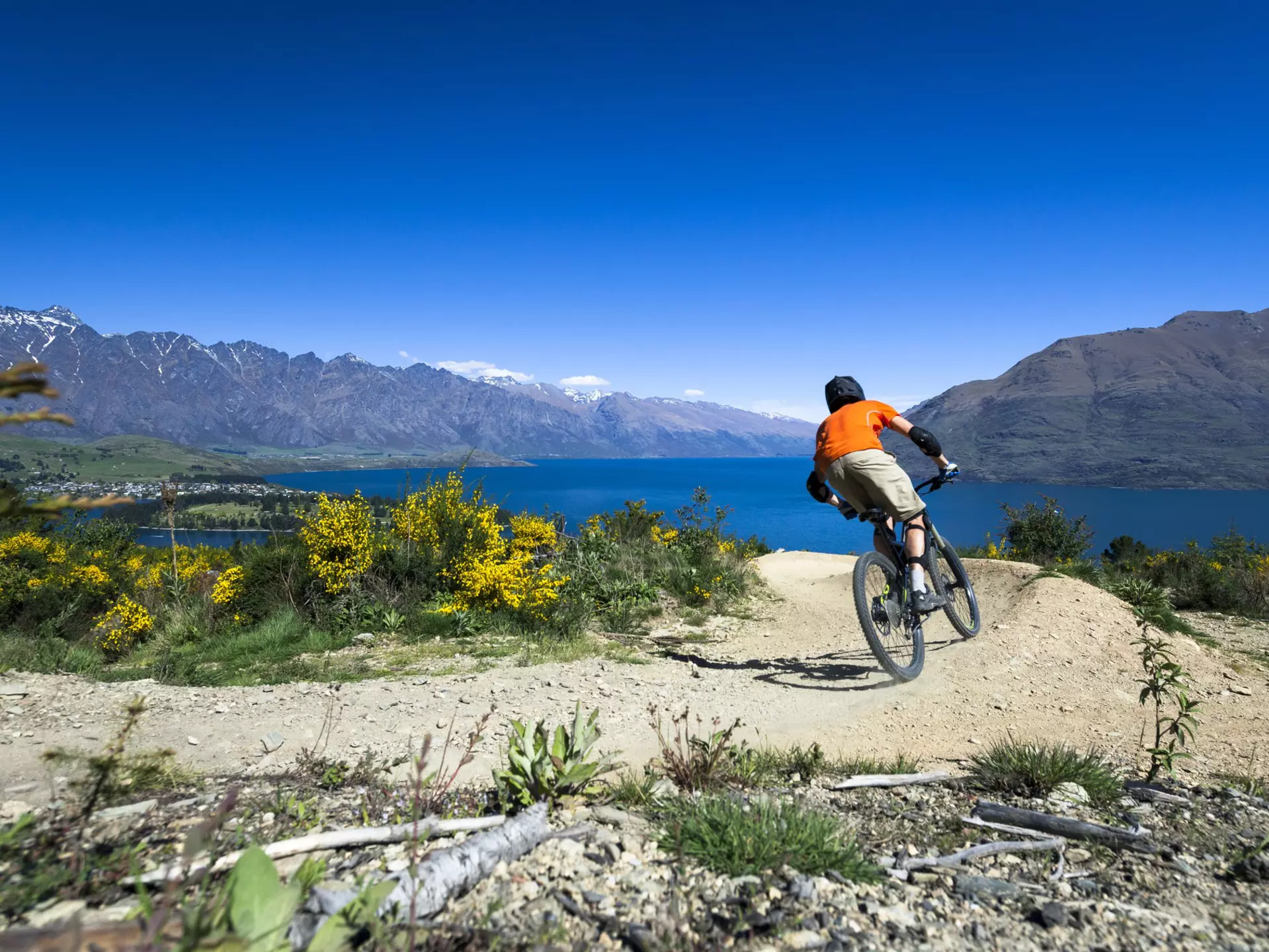 Some of New Zealand’s most thrilling “Great Rides” for cyclists are in and around the Southern Lakes and Central Otago regions © iStock