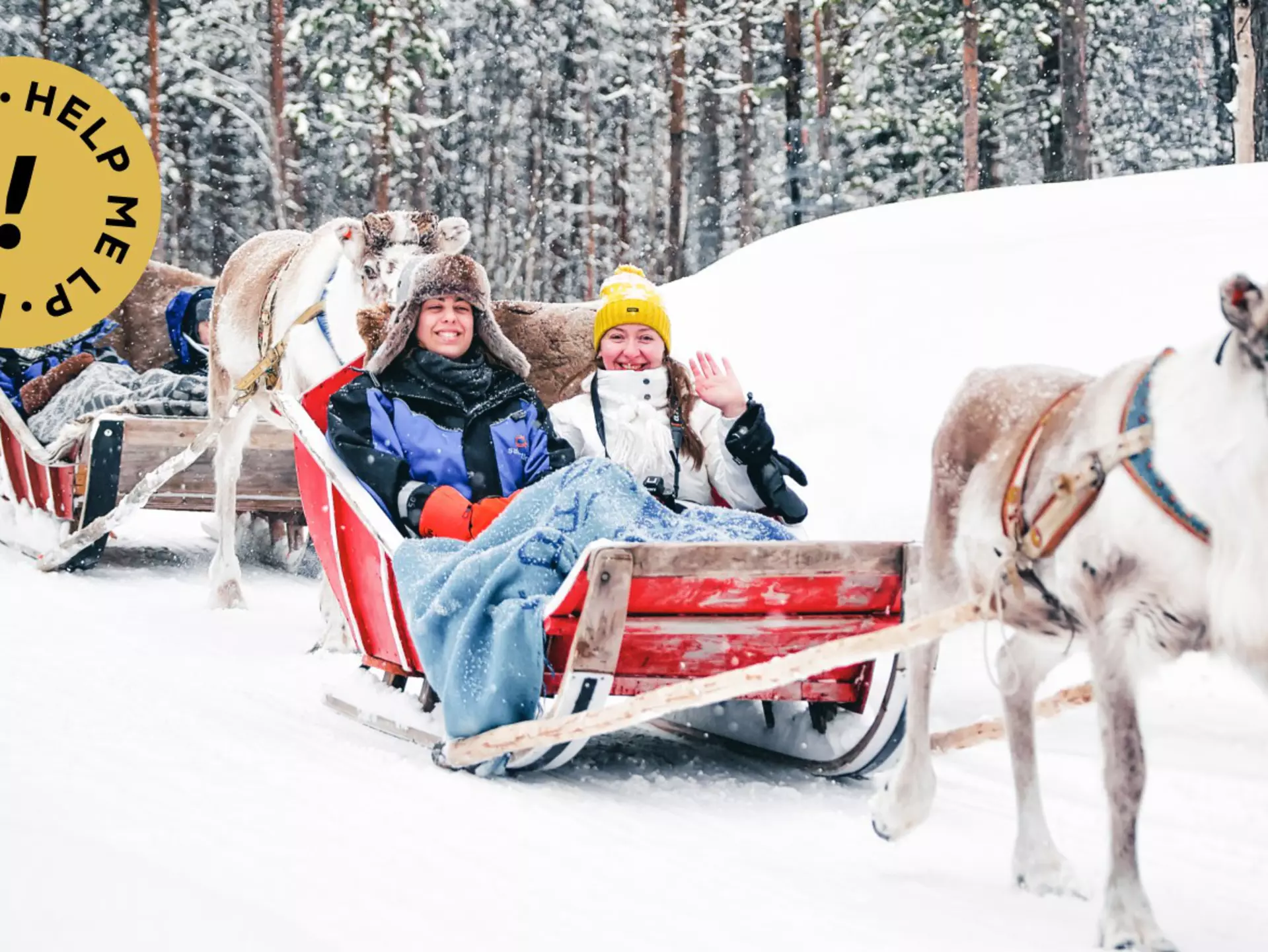 Visit Lapland outside of December to discover wintry hikes, cross-country skiing, reindeer encounters and much more © Roman Babakin / Shutterstock