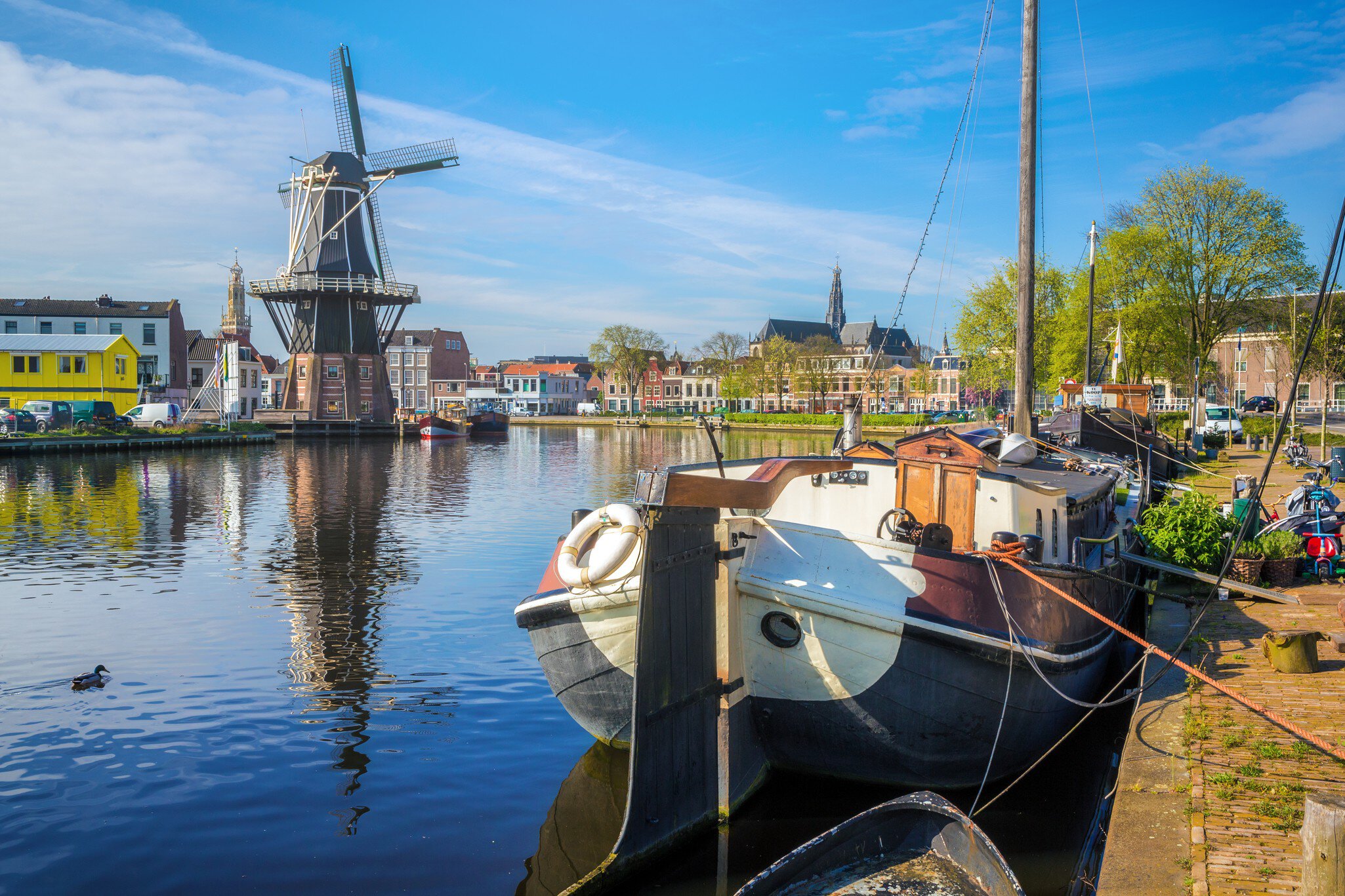 Postcard from Haarlem