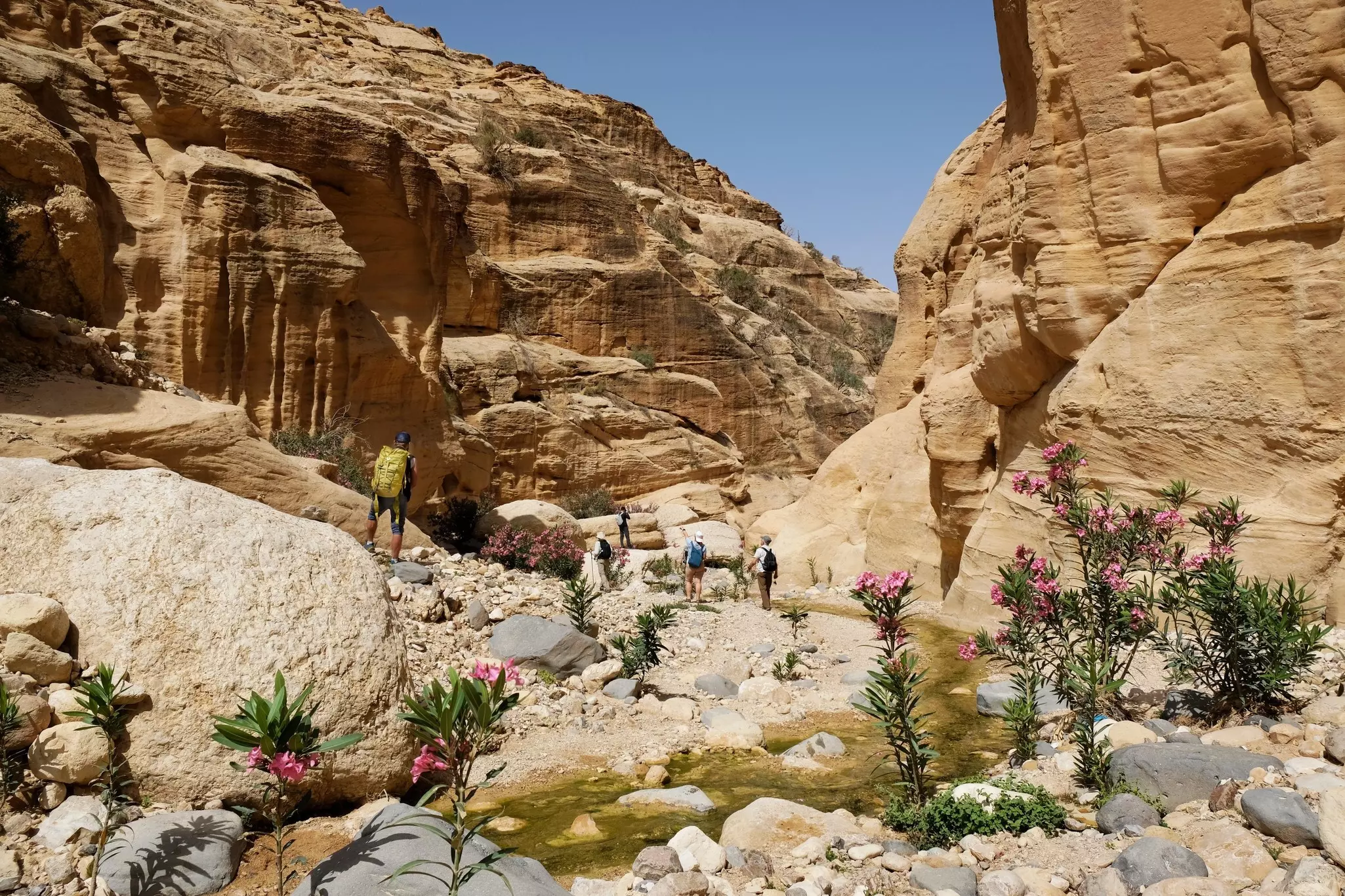 People hiking on a trail through a rocky desert environment.