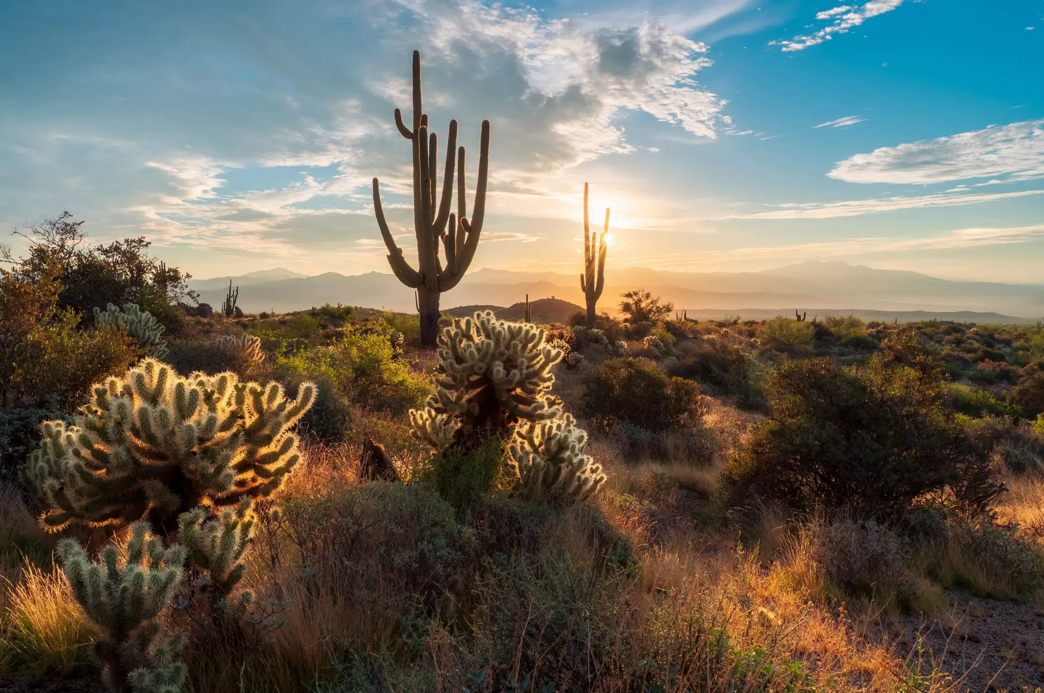 Sunset in the Majestic McDowell Sonoran Preserve.