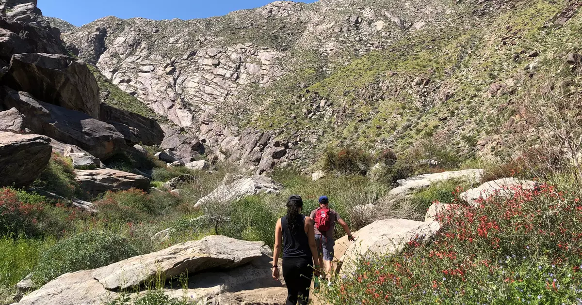 The 10 best things to do in Palm Springs - Lonely Planet