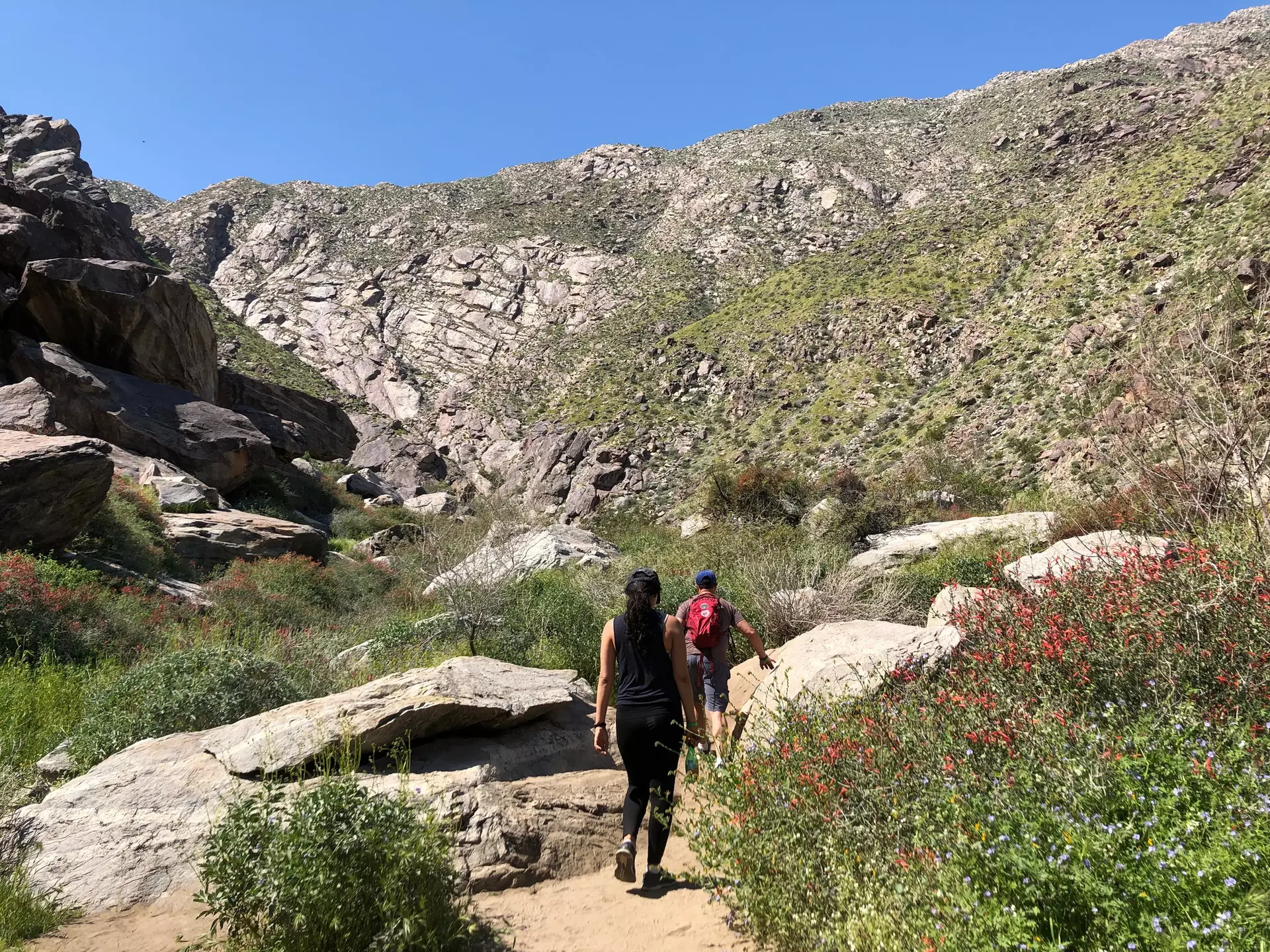 People hiking through Tahquitz Canyon on a sunny day in Greater Palm Springs. WKanadpon/Shutterstock