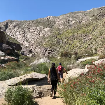 People hiking through Tahquitz Canyon on a sunny day in Greater Palm Springs. WKanadpon/Shutterstock