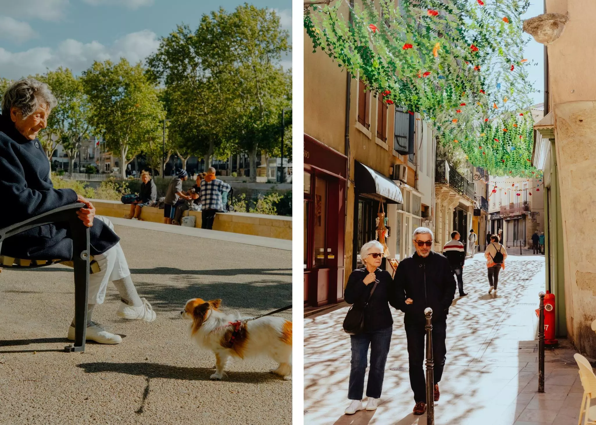 Left, a small dog looks up at a person sitting on a bench looking down at the dog; right, a couple walks on a European pedestrian street with fake greenery hanging overhead.