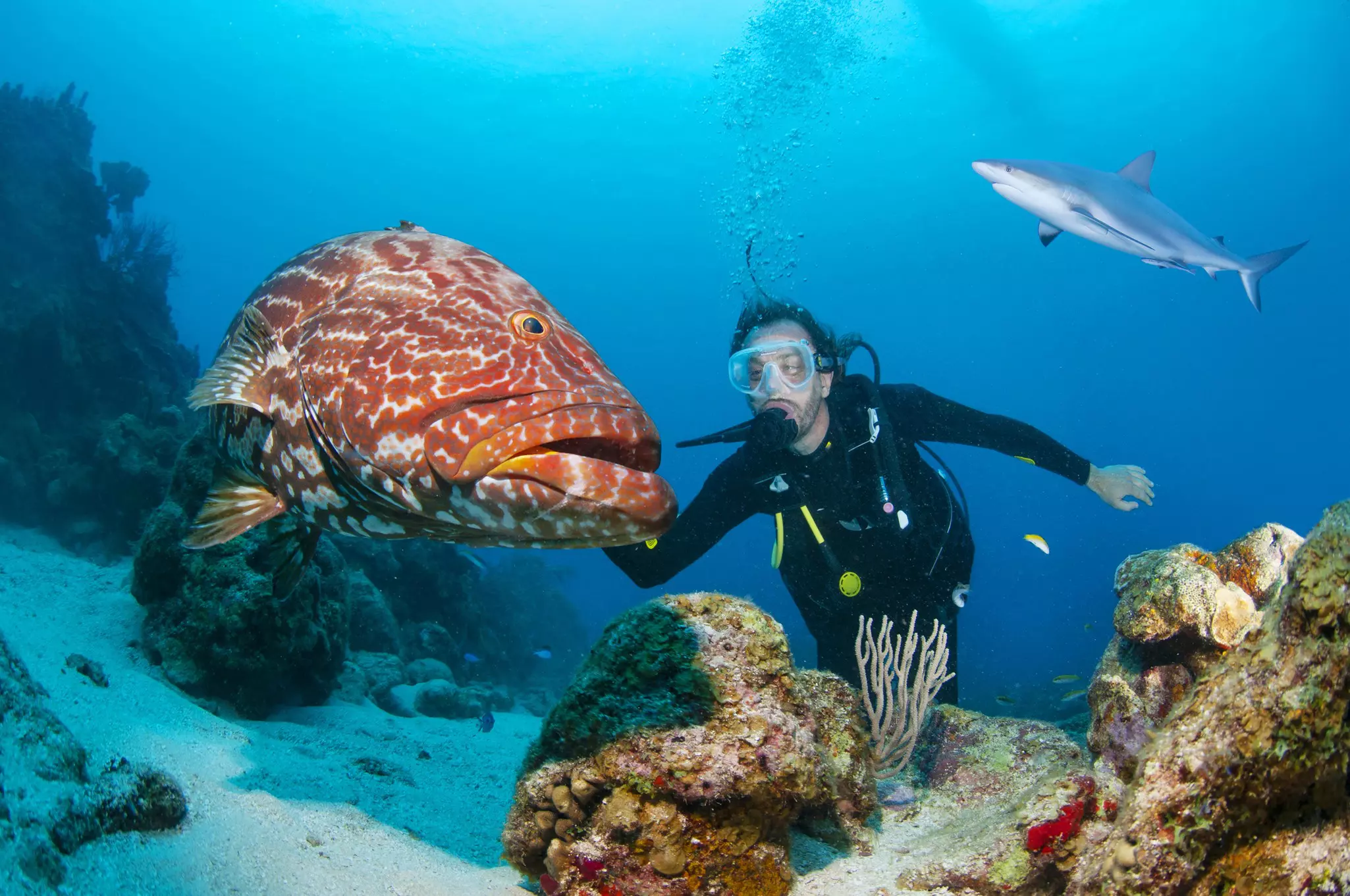 Scuba diving opens up a world of incredible underwater sights © Antonio Busiello / Getty Images