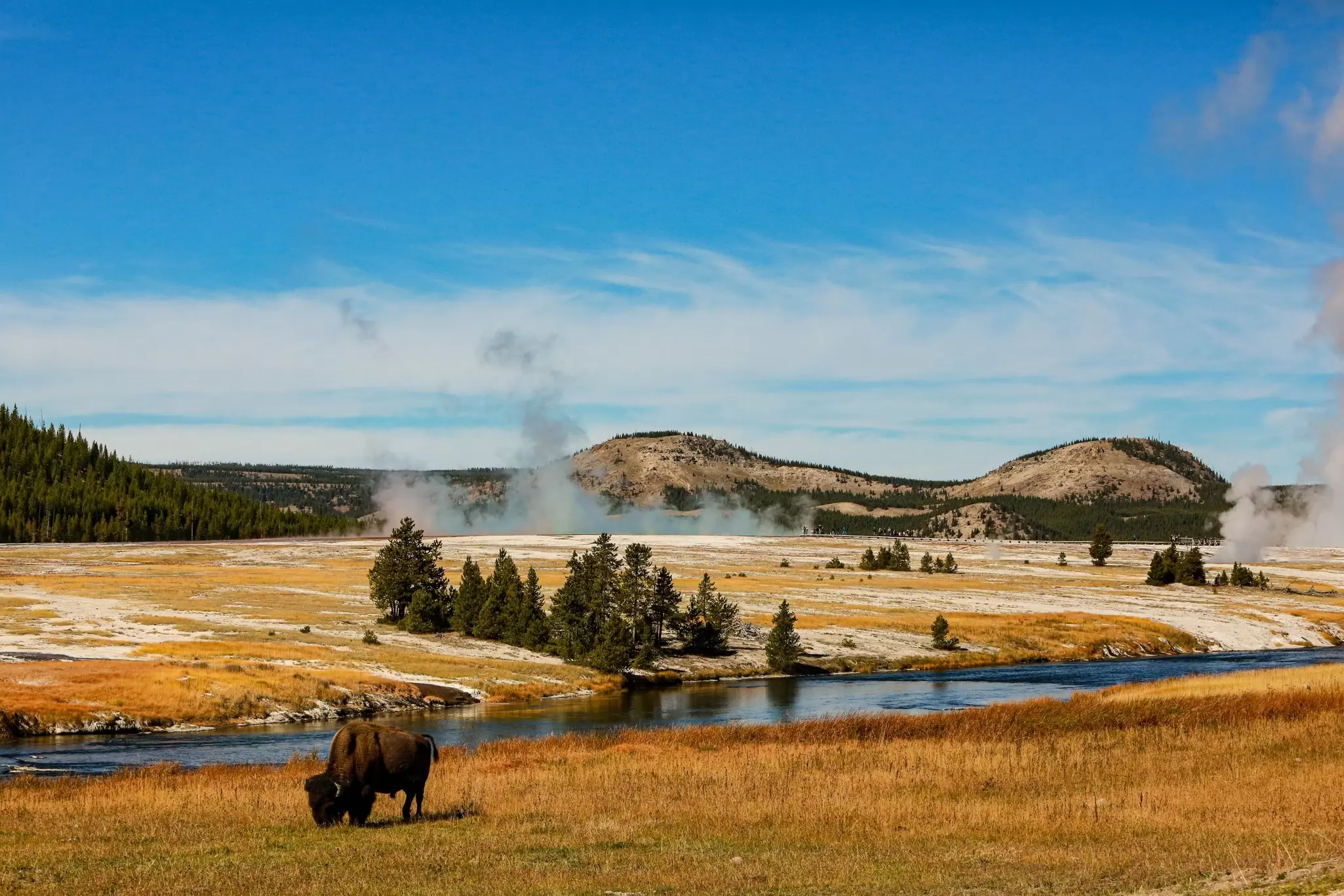 Yellowstone National Park. Danita Delimont/Shutterstock