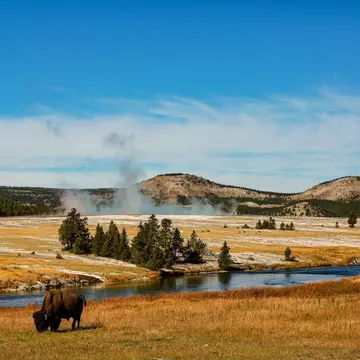 Yellowstone National Park. Danita Delimont/Shutterstock