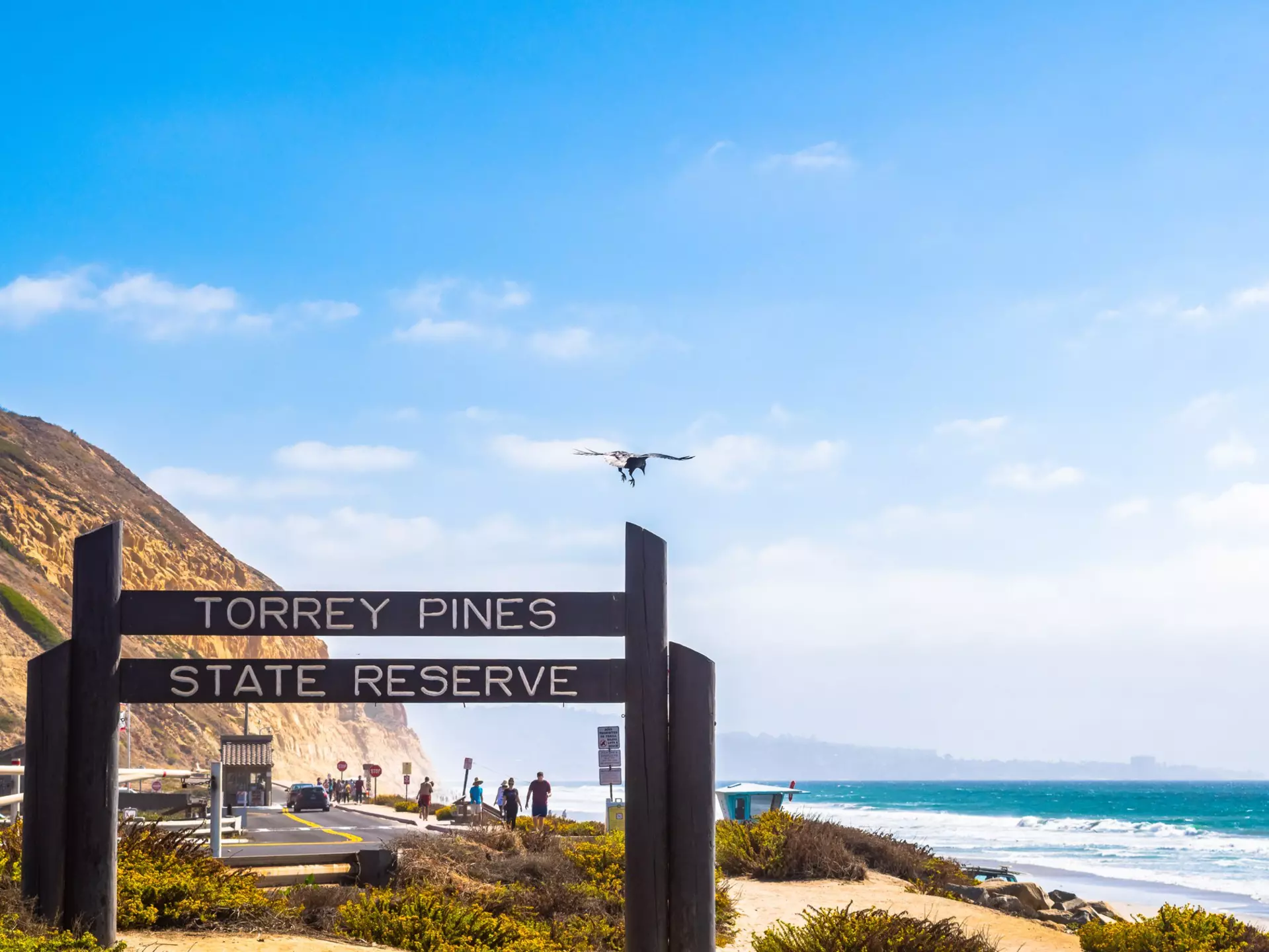 San Diego, California - October 08 2017: Entrance sign to Torrey Pines State Reserve park and beach in La Jolla on hot sunny summer day. Sandstone cliffs and people walking towards the ocean behind.
1195344913
america, american, coast, coastal, destination, dunes, heat, hot, landscape, ocean, outdoor, pacific, path, pine, scenery, scenic, southern, sunshine, torrey pines, tourists, trail, trees, turquoise, united states, vacation, view, west