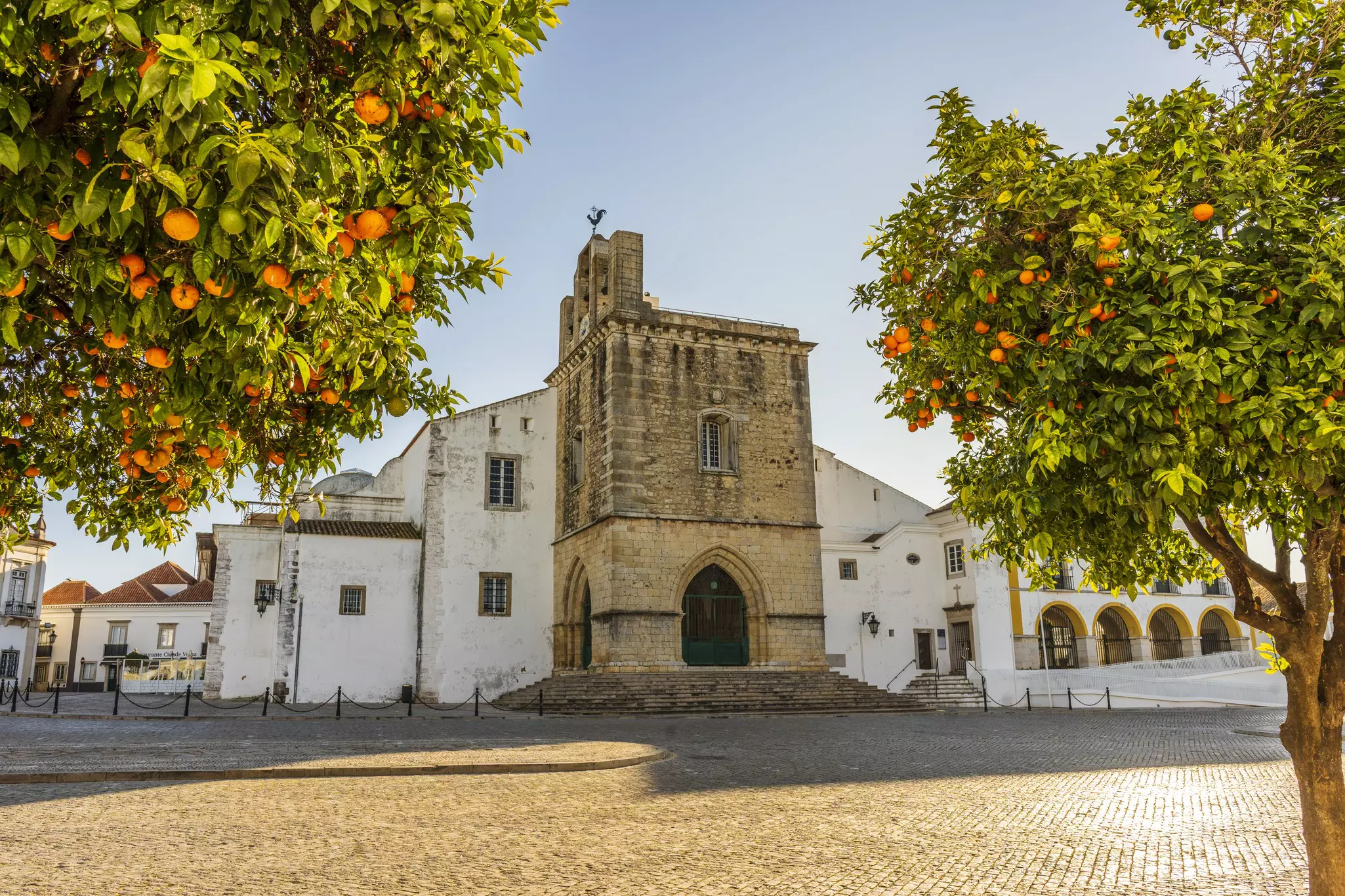Historic stone cathedral on cobblestone square with orange trees in the foreground on a sunny day.