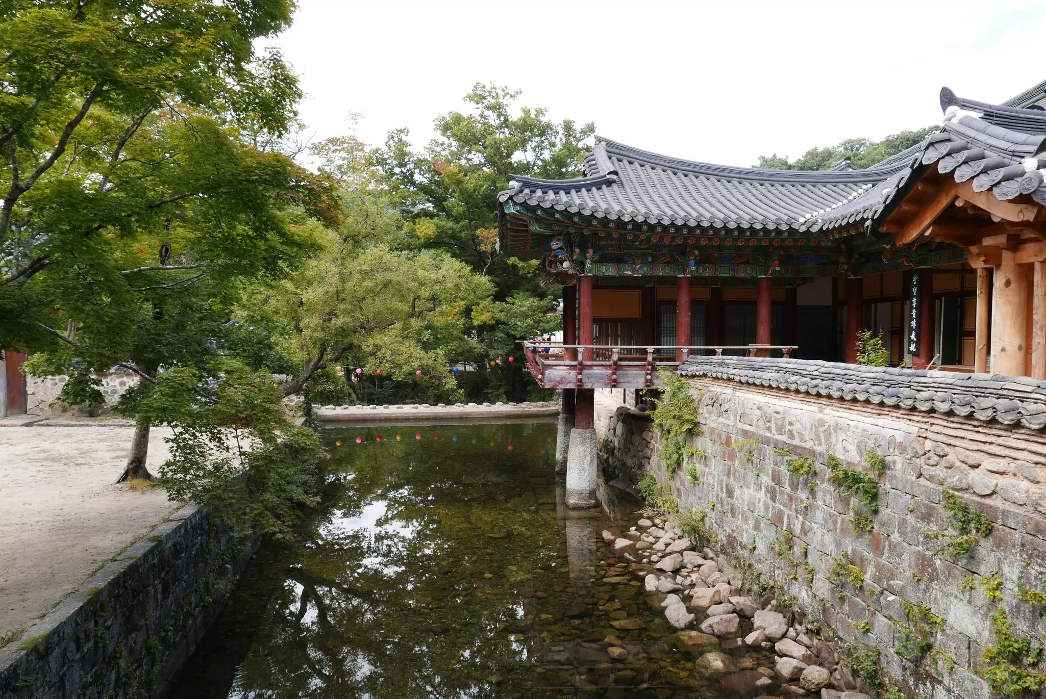 A Buddhist temple - Songgwang-sa - sits on a peaceful river with trees arched over it