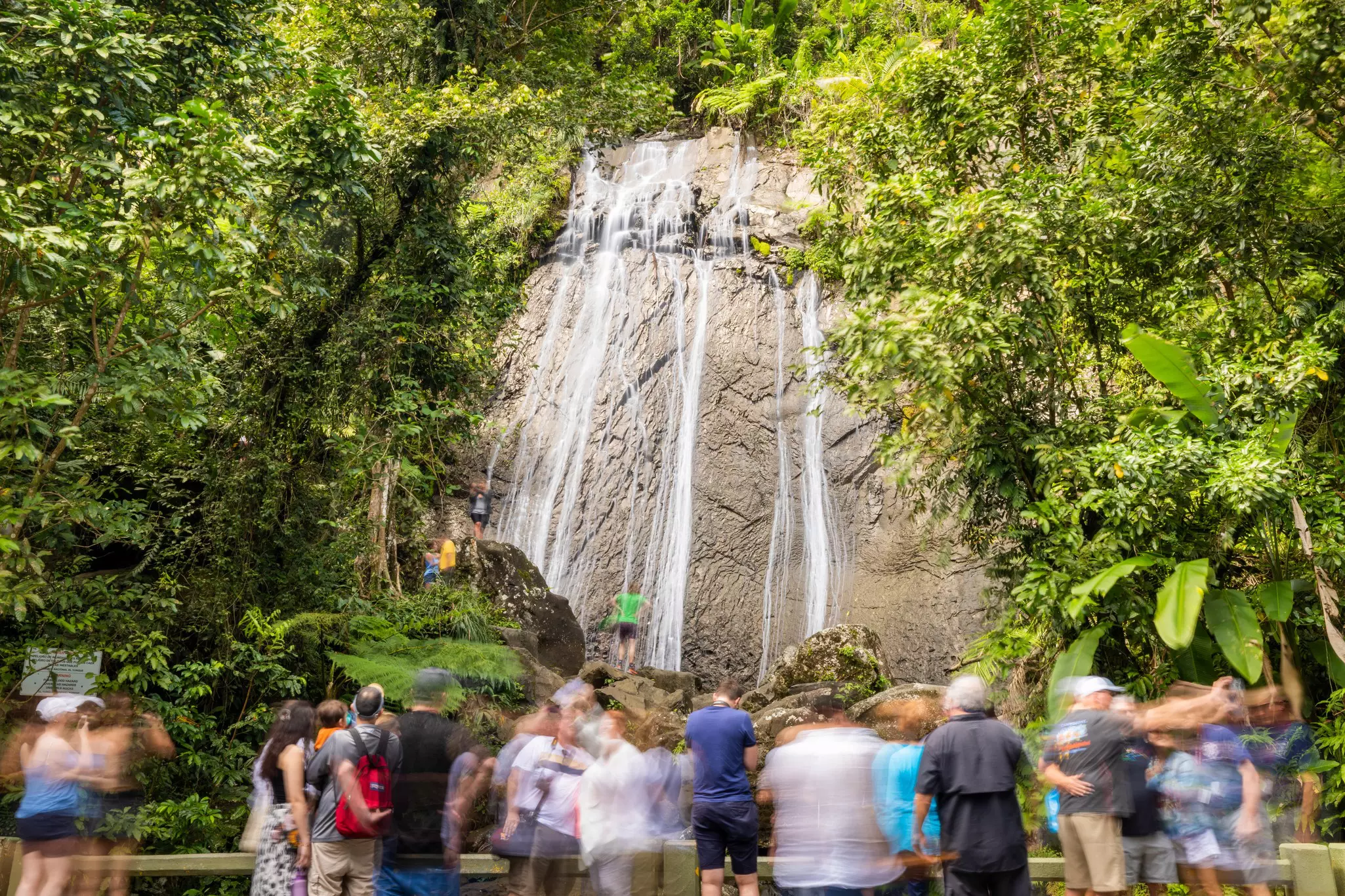 El Yunque National Forest is the only subtropical rainforest in the United States National Forest System © Alejandro Granadillo / Lonely Planet